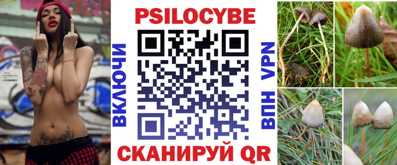 Псилоцибиновые грибы прущие грибы  где купить   Гаврилов Посад 